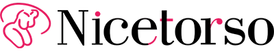 Nicetorso logo